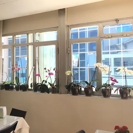 Guzel Ξενοδοχείο 2*