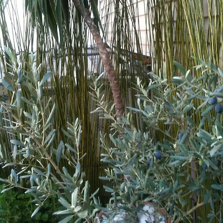 Guzel Ξενοδοχείο 2*