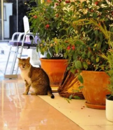 Güzel 3* İzmir